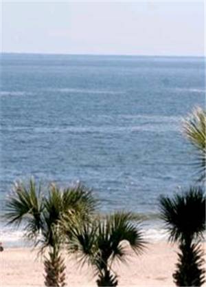 Ocean Song At Beachside Colony Apartment Tybee Island Ngoại thất bức ảnh